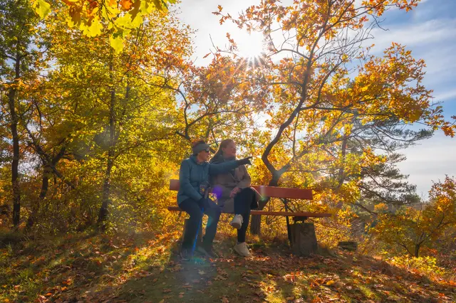 Vor allem im goldenen Herbst ergeben sich besonders bezaubernde Ausblicke ins Thayatal. 