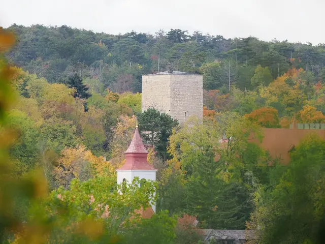 Herbststimmung mit Blick auf Kirche und Schloss Enzesfeld  | Foto: Anton Kroh 