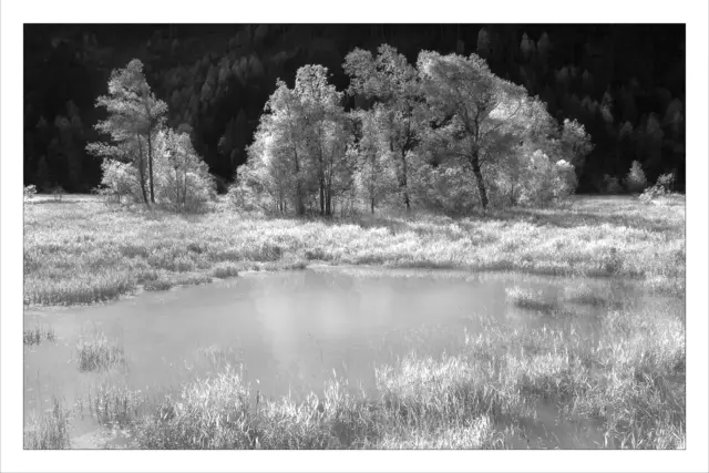 EMPFEHLE VOLLBILDMODUS! Runser Au kurz vor Prutz. Trotz Schneefall bis ca. 1.200 m Seehöhe wünsche ich mit diesem sonnigen Herbstfoto eine schöne Woche. | Foto: © by Ing. Günter Kramarcsik