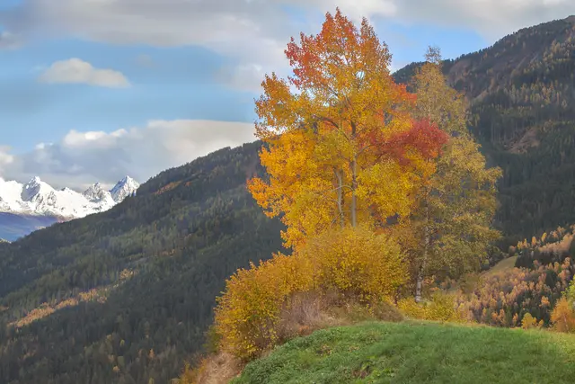 Herbst über Hochgallmigg (gemeinde Fließ) | Foto: © by Ing. Günter Kramarcsik