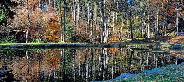 Eine herrliche Spiegelung - entdeckt bei einer Wanderung durch das Tipi-Dorf in Alberndorf. | Foto: RMB