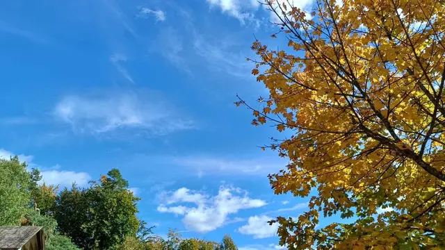 Zitat des Tages: "Ein heller, trockener November gibt Regen und milde Luft im Jänner!"
