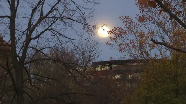 05.11.2025 Der Vollmond von der Prater Hauptallee aus gesehen. Heute ist er der Erde sehr nahe.