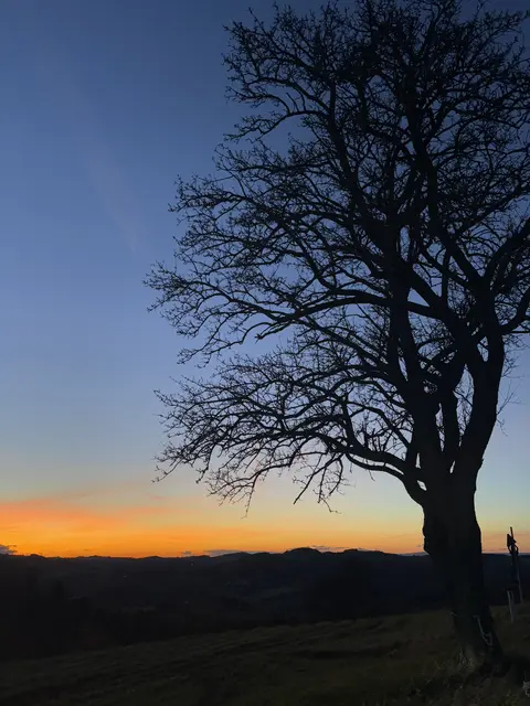 Die Dämmerung im Herbst zaubert die schönsten Farben auf den Himmel | Foto: Lauren Fahrenberger