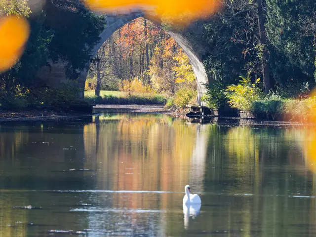 Im Herbst wirkt der Schlossteich mit der Brücke noch romantischer. | Foto: Anton Kroh