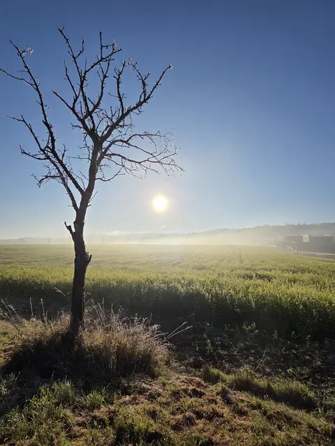 Langsam lichtet sich der Nebel. Traumhaftes Herbstwetter! | Foto: Martina Fölser 