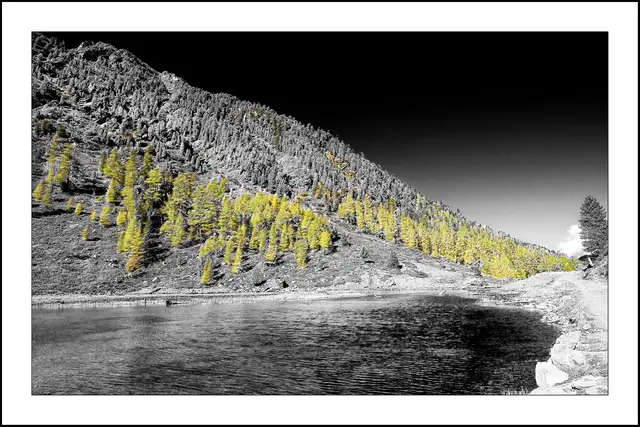 Empfehle Vollbildmodus. Vergleichsbild in Farbe wird gesondert eingestellt und im 1. Eigenkommentar auch verlinkt. | Foto: © by Ing. Günter Kramarcsik