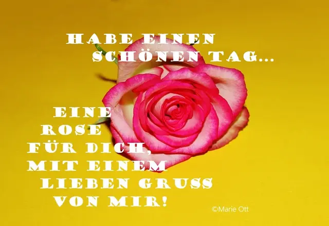 Eine Rose für Dich, mit einem lieben Gruß von mir!