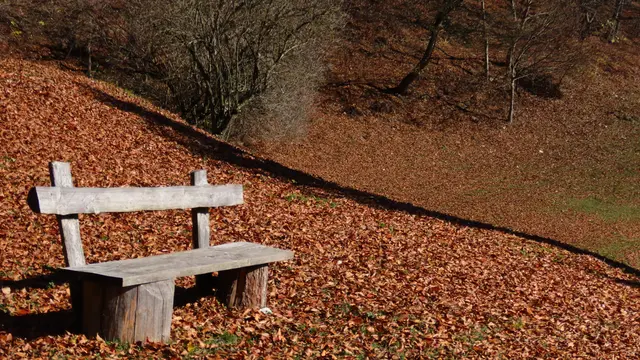 Unser Herbstwetter im Pielachtal