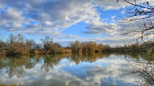 Blick über den Schönauer Teich im Herbst | Foto: Anton Kroh 