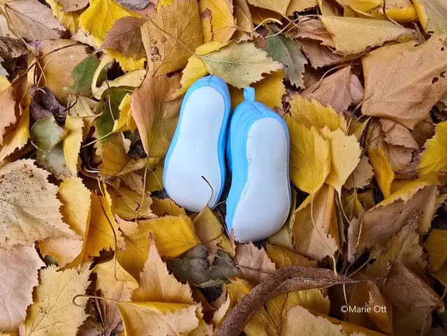Für Martina bin ich ins Laub gesprungen und meine Füße sind noch zu sehen! Challenge