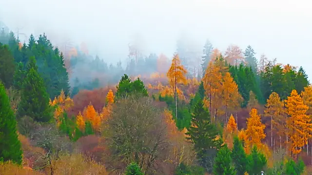 Herbstnebel in Friesach.