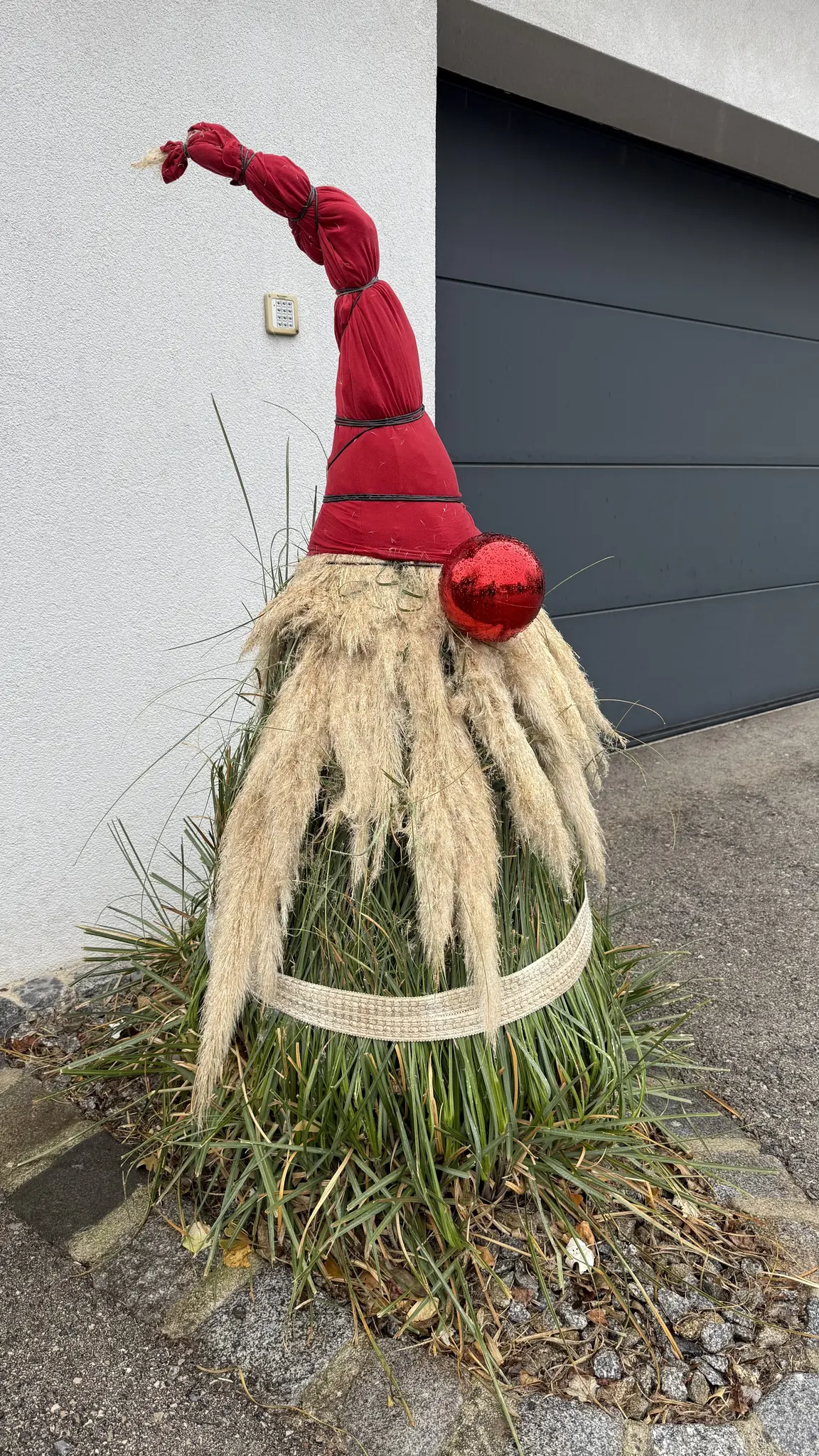 Heuer strahlt ein Wichtel als Winterschutz meines Pampasgras, ein Hingucker!