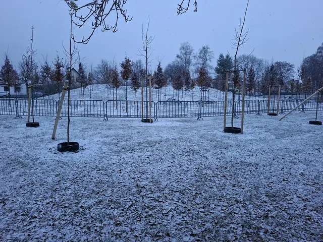 Danke, Danke an die "kinderfeindliche Stadtpolitik Klagenfurt" für das Klimawäldchen statt beliebten Rodelhügel ... 