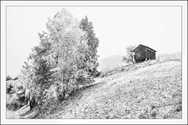 Erster Winterbesuch im Herbst 2025 in Tobadill.
Bitte Gerhard und Kurt um Entschuldigung, dass ich meinen 1. Upload versehentlich gelöscht hatte. Werde eure Kommentare hier selbst nachtragen. | Foto: © by Ing. Günter Kramarcsik