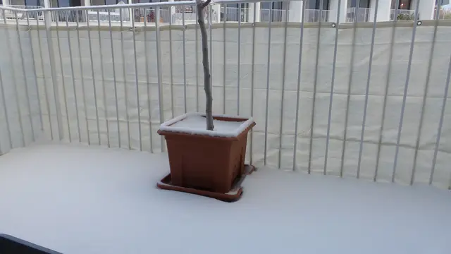 Freudige Morgenüberraschung mit dem ersten Schnee heuer auf meinem Balkon. | Foto: Mag. Theresia Nichtenberger