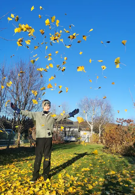 Paul (10) aus Stocking hat viel Freude mit den letzten bunten Blättern im Garten. 