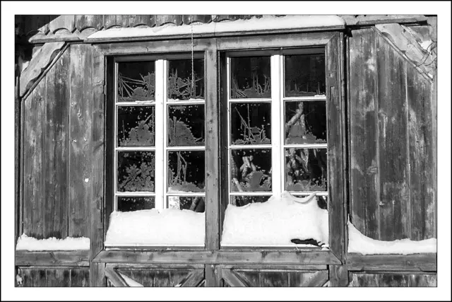 Eisblumen sind nur mehr selten anzutreffen. Solche bilden sich bei Einfachverglasungen, welche max. noch bei Gartenhäuschen anzutreffen sind. | Foto: © by Ing. Günter Kramarcsik