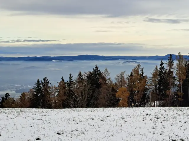 Die erste Schneepracht des Jahres am Panorama Höhenweg vom Panoramastüberl bis zum Sonntagberg ist eine willkommene Abwechslung vom Trubel der Stadt. | Foto: Stefanie Machtinger