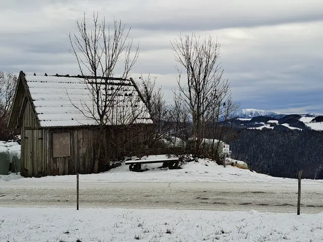 Die erste Schneepracht des Jahres am Panorama Höhenweg vom Panoramastüberl bis zum Sonntagberg ist eine willkommene Abwechslung vom Trubel der Stadt. | Foto: Stefanie Machtinger 