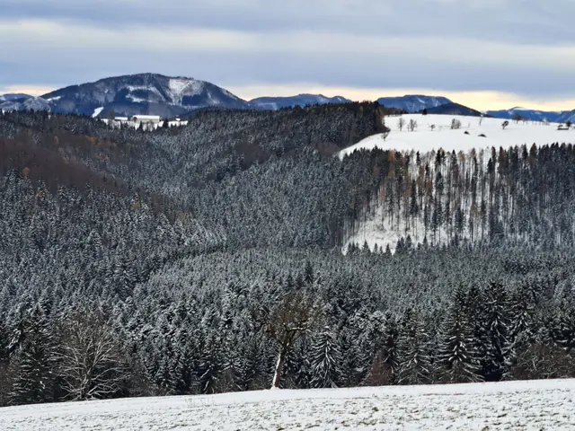 Die erste Schneepracht des Jahres am Panorama Höhenweg vom Panoramastüberl bis zum Sonntagberg ist eine willkommene Abwechslung vom Trubel der Stadt. | Foto: Stefanie Machtinger 