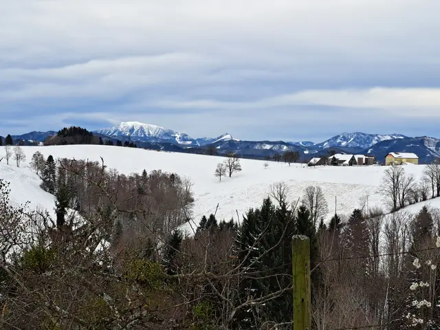 Die erste Schneepracht des Jahres am Panorama Höhenweg vom Panoramastüberl bis zum Sonntagberg ist eine willkommene Abwechslung vom Trubel der Stadt. | Foto: Stefanie Machtinger 