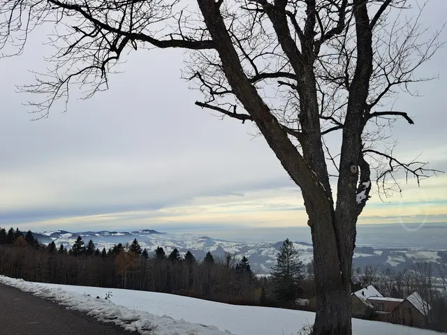 Die erste Schneepracht des Jahres am Panorama Höhenweg vom Panoramastüberl bis zum Sonntagberg ist eine willkommene Abwechslung vom Trubel der Stadt. | Foto: Stefanie Machtinger 
