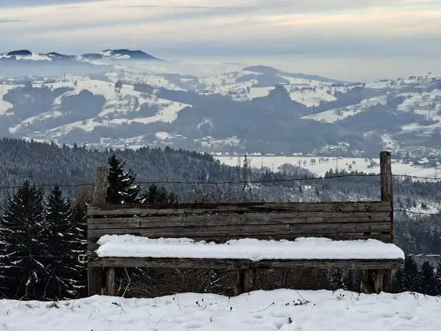 Die erste Schneepracht des Jahres am Panorama Höhenweg vom Panoramastüberl bis zum Sonntagberg ist eine willkommene Abwechslung vom Trubel der Stadt. | Foto: Stefanie Machtinger 