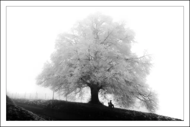 Auch bei trüben und nebligen Wetter kann die SW- Fotografie reizvoll sein, wenn gleich ich gerne zugebe, dass das Malen mit Licht und Schatten in der SW- Fotografie reizvoller ist! | Foto: © by Ing. Günter Kramarcsik