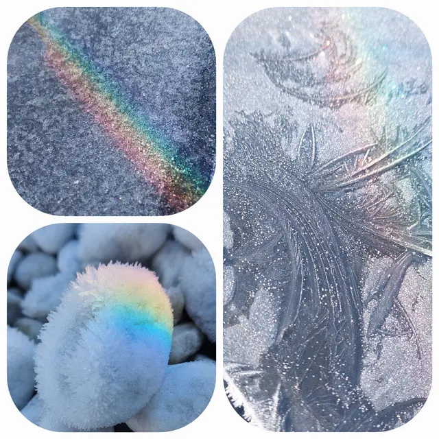 ...heute gerade vor die Füße gefallen... - ...geschenkt!!! Einen beschaulichen ersten Adventsonntag!

 | Foto: Monika Petanovitsch 