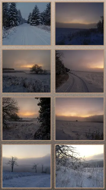 Korrigiere einen Dummen - er wird dich hassen
Korrigiere einen Weisen - er wird dich schätzen.
Foto: Glaser 