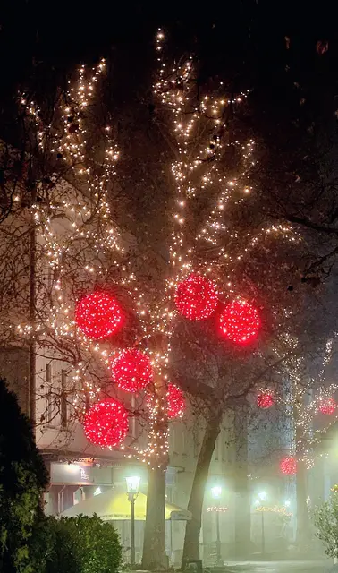 Lichterbaum in der Brühler Straße im abendlichen Nebel | Foto: Anton Kroh