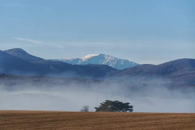 Über den Nebel im Triestingtal hinweg blickt man vom Waldrand oberhalb von St.Veit zum sonnenbeschienenen Schneeberg. | Foto: Anton Kroh