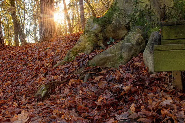 ......fielen die Blätter.