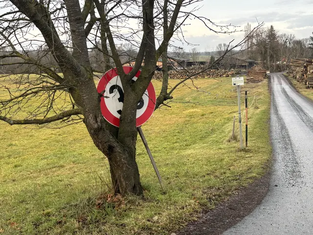 30 km/h oder nicht 30 km/h? Nicht jedes Verkehrszeichen ist auf den ersten Blick und unmissverständlich befolgbar. Das zeigt eine Straßenszene aus Glasing. | Foto: Martin Wurglits