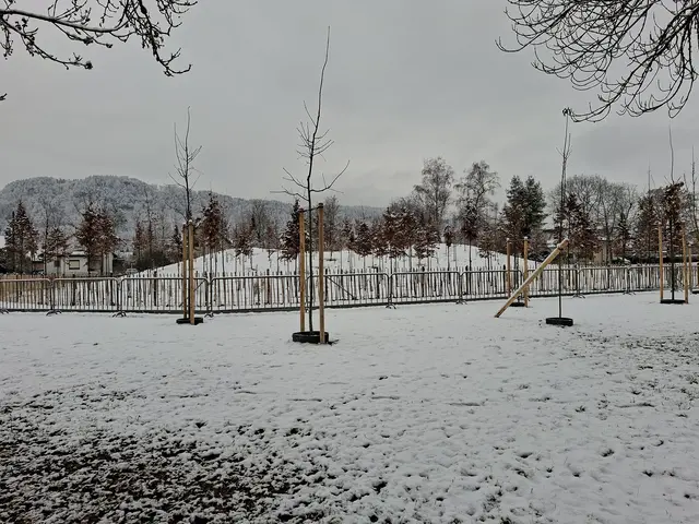 25.12.2025 Der "Rodelhügel" im Ebenthaler-Park heute ...