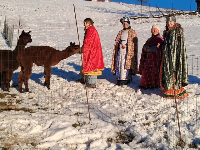 Auch bei den Alpakas konnten die Sternsinger aus der Pfarre St.Nikolai i.S. nicht vorbei gehen und wurden von den Alpakas beschnuppert !
