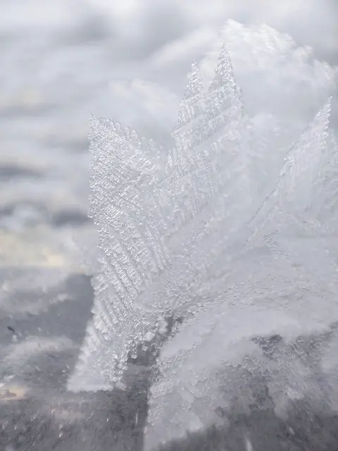 Bei einem Spaziergang auf dem zugefrorenen Walchsee konnten unzählige Eisblumen betrachtet werden, wie sie im Sonnenlicht ihre schönen Formen offentbarten. | Foto: Johanna Bamberger