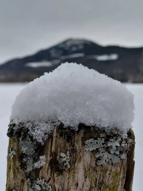 BEGLEITE MICH AUF MEINEM SPAZIERGANG | Foto: H.Bachinger