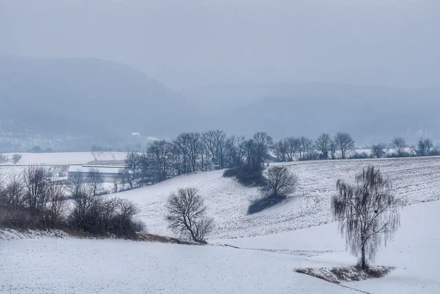 Blick über das winterliche Triestingtal oberhalb von St.Veit. | Foto: Anton Kroh
