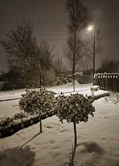 Gestern Abend die schöne Winterstimmung bewundert in unserem Garten ❄️✨ | Foto: Martina Laserer