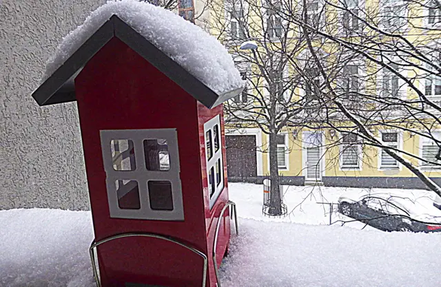 EIN HERZ FÜR VÖGEL ❤️