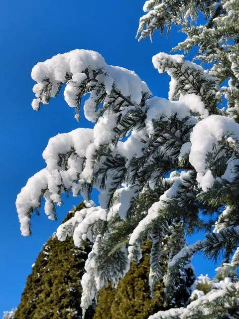 BEGLEITE MICH AUF MEINER WANDERUNG | Foto: H.Bachinger