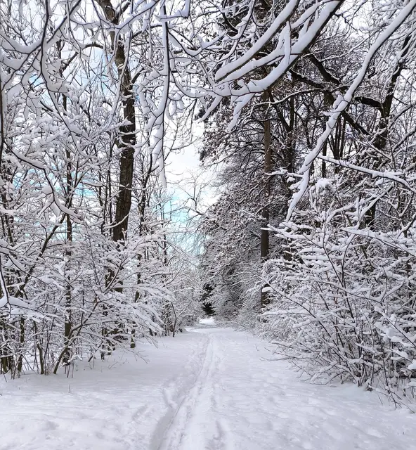 Spaziergang Siezenheimer Au und an der Saalach. Natur und die herrliche Winterluft genossen.  | Foto: Martina Laserer