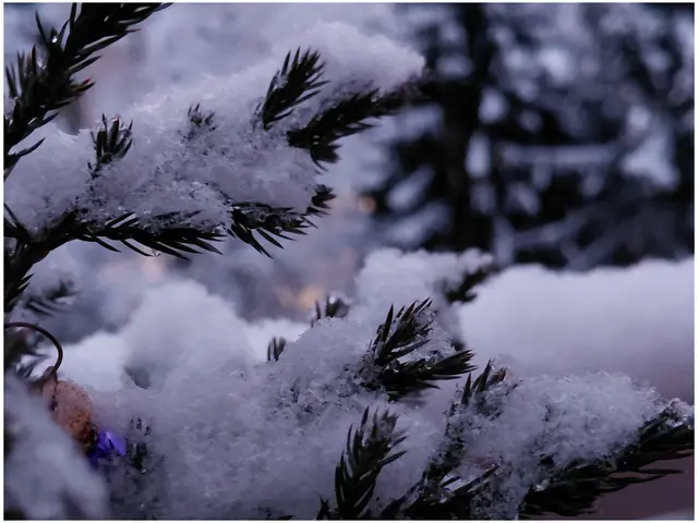 Ich wünsche euch einen gemütlichen Sonntag! | Foto: H.Bachinger