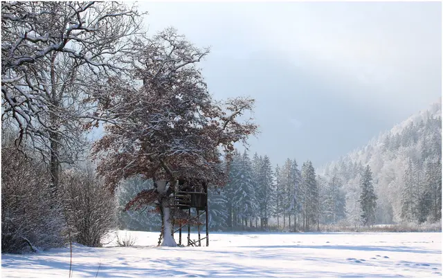 ...auf dem Weg nach nach Fürstenbrunn