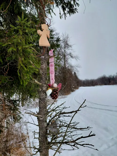 Heute beim Spaziergang entdeckt. | Foto: H.Bachinger