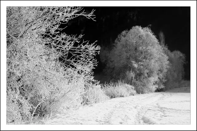 EMPFEHLE VOLLBILDMODUS! Raureif zwischen Silz und Mötz | Foto: © by Ing. Günter Kramarcsik