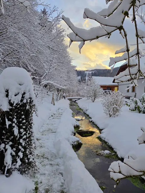 Es ist zurzeit wie in einem Wintermärchen hinterm Haus. | Foto: Martina Fölser