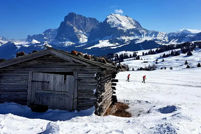 Langlaufen auf der Seiser Alm/Südtirol. Im Hintergrund links der Langkofel 3.181 m und rechts davon der Plattkofel 2.958m.